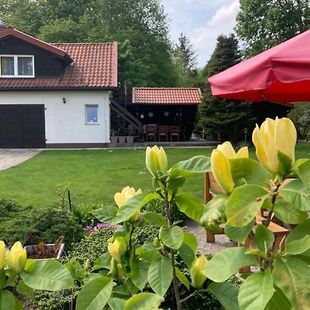 Magnolia Lägenhet Kruklanki Exteriör bild