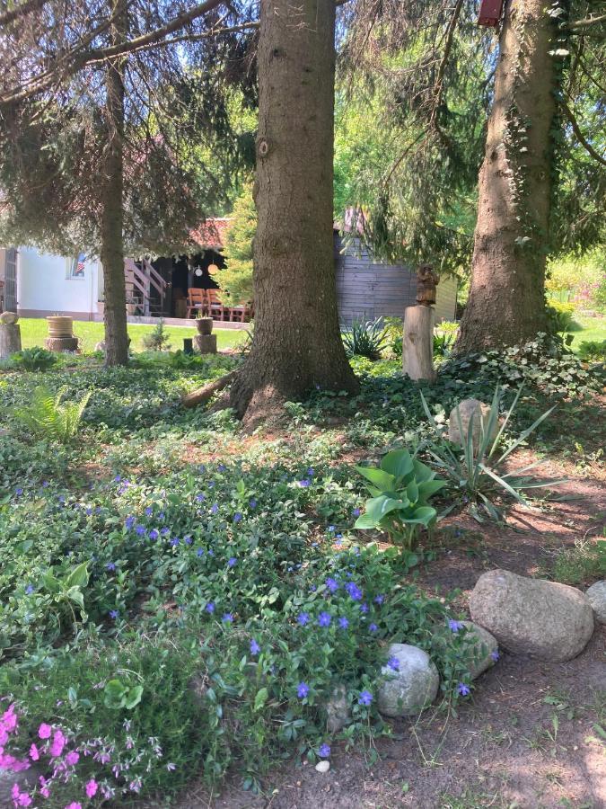 Magnolia Lägenhet Kruklanki Exteriör bild