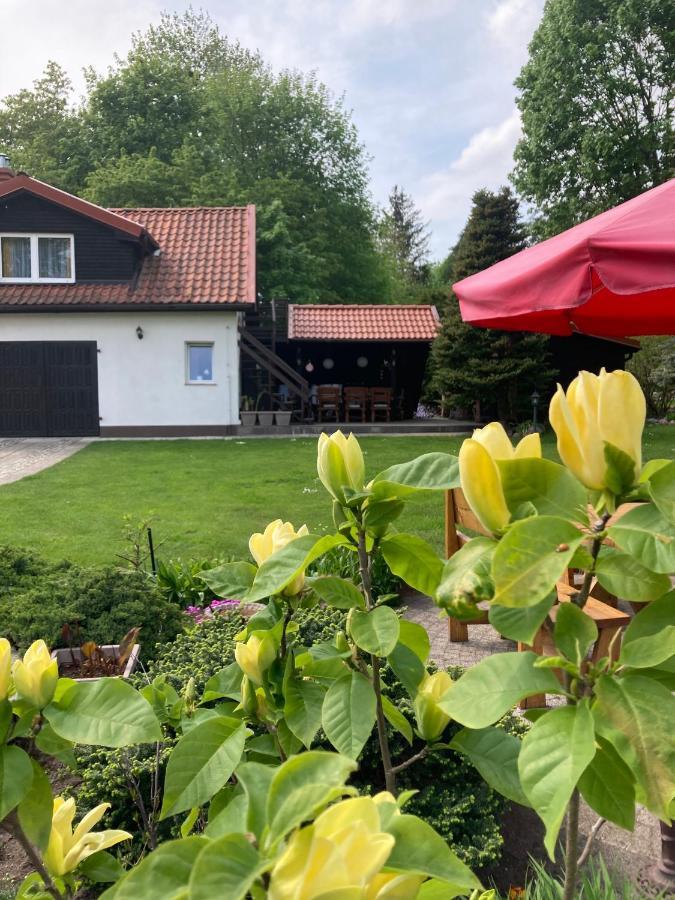 Magnolia Lägenhet Kruklanki Exteriör bild