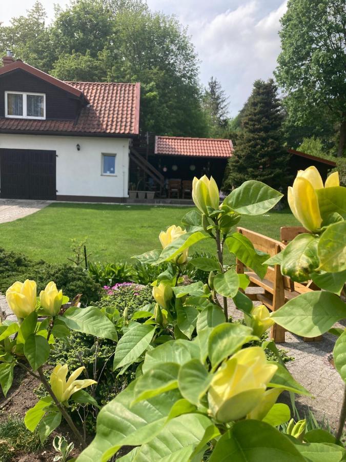 Magnolia Lägenhet Kruklanki Exteriör bild